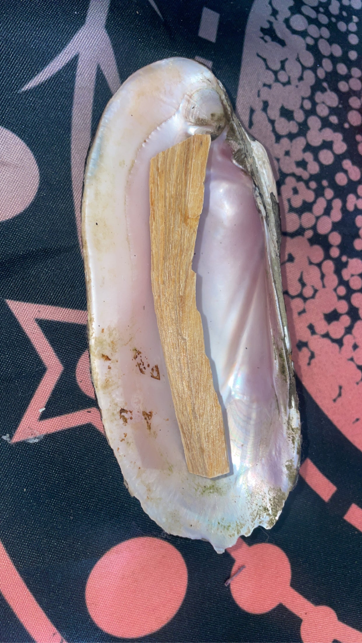 Clam shells