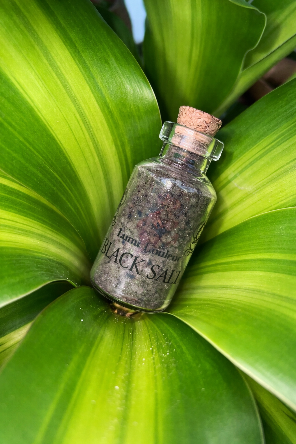 Black Salt