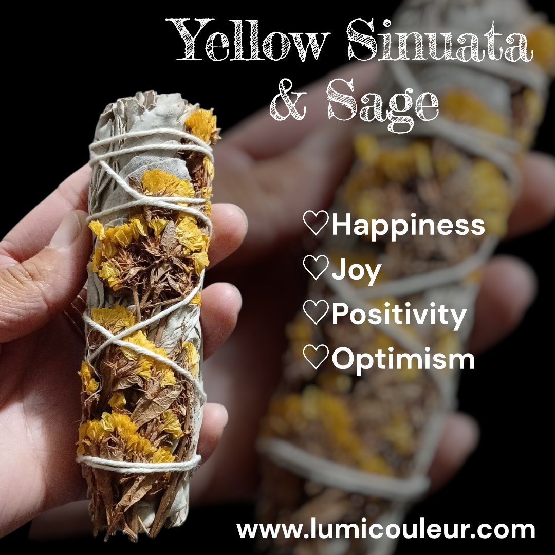 Yellow Sinuata Whie Sage Bundle