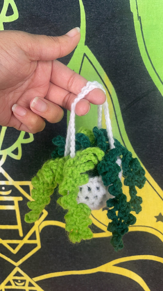 Crotchet plants